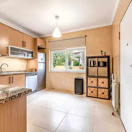 Laranja-limao - New Villa Azeitao