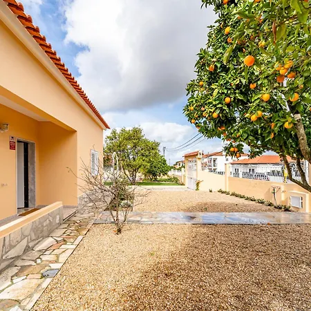 Laranja-limao Azeitao