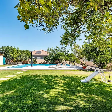 Laranja-limao Villa Azeitao